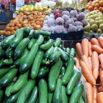 the bazaar of vegetables with cucumber, carrot and ...