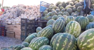 in Qazvin you will find trucks and trolleys selling fruits 