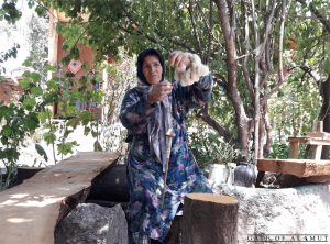 Traditional Spinning Thread in Alamut Valley - Qazvin by an old lady.