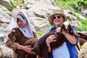a tourists and an Iranin girl are hugging two sheep 